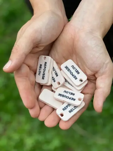 Lot de 10 sifflets avec le texte et la couleur de votre choix